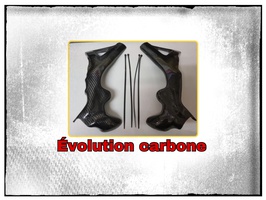 Protection cadre carbone TRRS